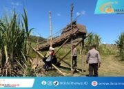 Lagi-lagi, Polsek Paguyaman Tegas Tertibkan PETI di Dusun Mootinelo