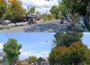 Warga kota Gorontalo Meminta Pemerintah Daerah Segera pangkas Tanaman di JDS, Ini Penyebabnya!