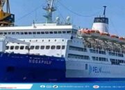 PELNI Buka Rekrutmen Nakhoda, Rating Dek hingga ABK, Cek Kualifikasi dan Link Pendaftarannya