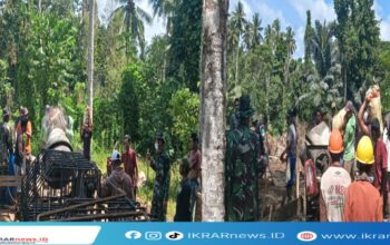 TNI Bersama Masyarakat Gotong Royong Bangun Jembatan Perintis Garuda di Desa Sigaso